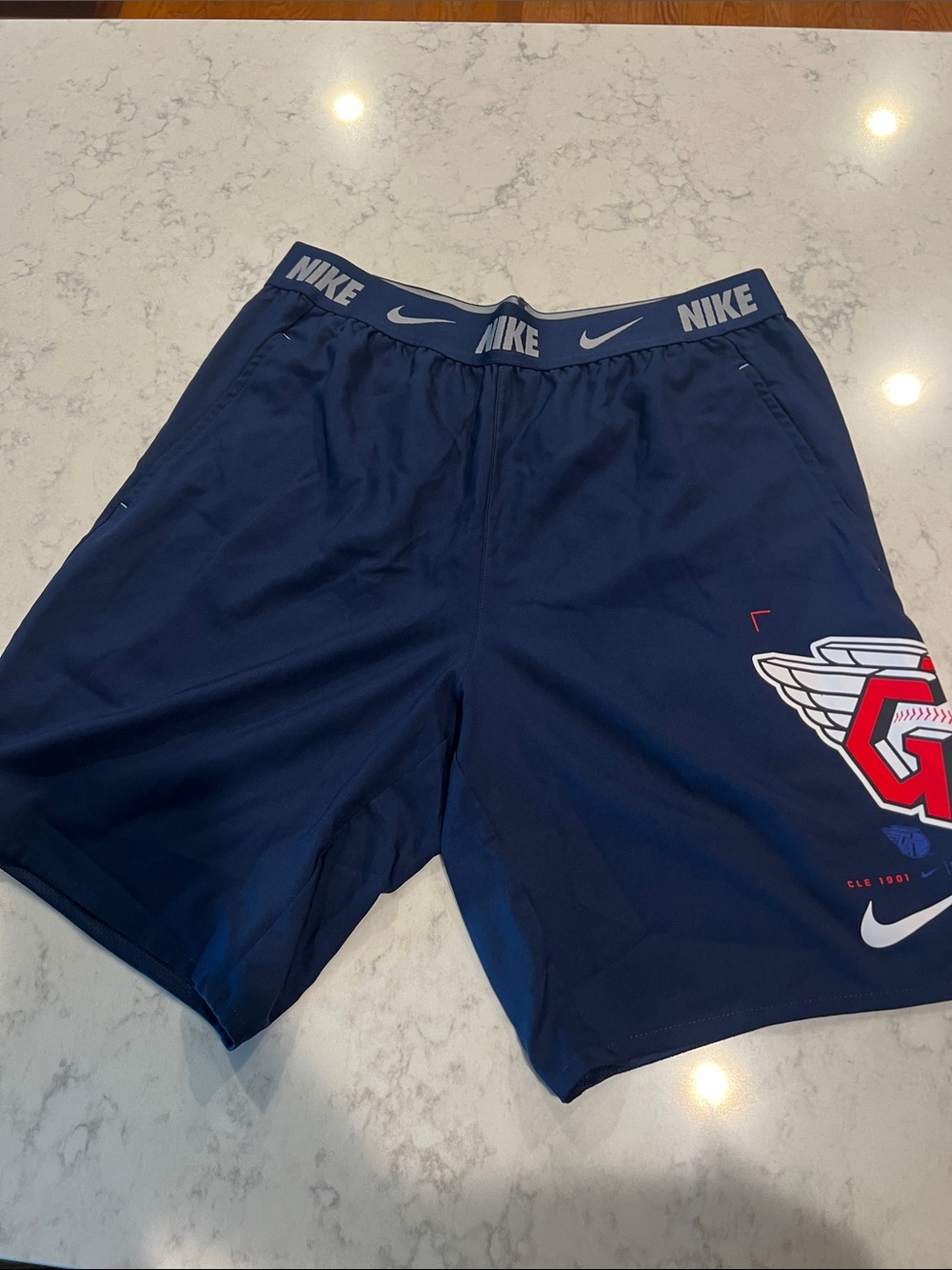 Nike Navy Athletic Shorts guardians